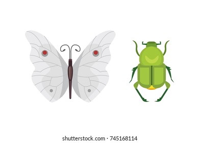 Set of different insects in cartoon style. Butterfly and beetle collection.