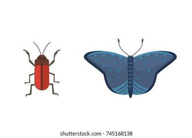 Set of different insects in cartoon style. Butterfly and beetle collection.