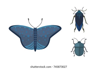 Set of different insects in cartoon style. Butterfly and beetle.