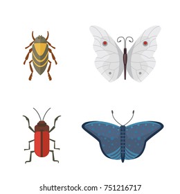 Set of different insects in cartoon style. Butterfly and beetle collection.