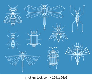 Set of different insects, characters line art drawing. Illustration formalized on technical plan. Nature creatures in unusual abstract geometric forms. Vector file is EPS8, all elements are grouped.