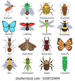 Set of different insects color flat icons