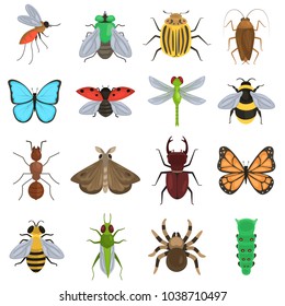Set of different insects color flat icons