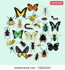 Set of different insects color flat icons set