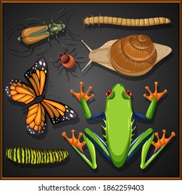 Set of different insects on black background illustration