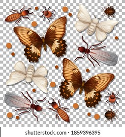 Set of different insects on transparent background illustration