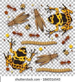 Set of different insects on transparent background illustration