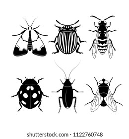 Set of different insects on white background, black insects silhouettes, fly, moth, cockroach, ladybug, Colorado beetle, wasp. Vector illustration. EPS10