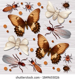 Set of different insects on white wooden wallpaper background illustration