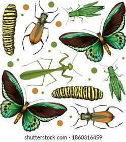 Set of different insects on white background illustration