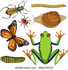 Set of different insects on white background illustration