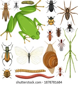 Set of different insects on white background illustration