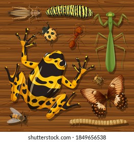 Set of different insects on wooden wallpaper background illustration