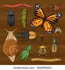 Set of different insects on wooden wallpaper background illustration