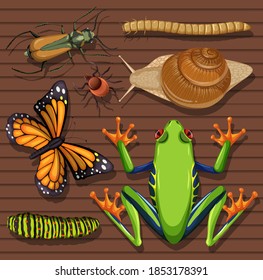 Set of different insects on wooden wallpaper background illustration