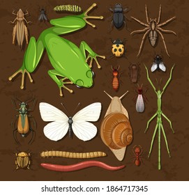 Set of different insects on wooden wallpaper background illustration