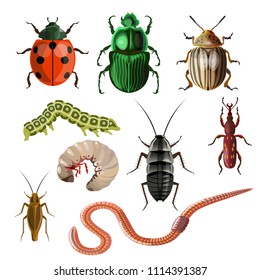 Set of different insects and worms. Vector illustration isolated on white background