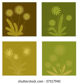 Set of different isolated flowers. Design elements