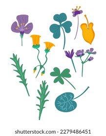 Set of different isolated flowers, leaves (exotic, Mediterranean) on white background for design, patterns, textiles. Vector illustration.
