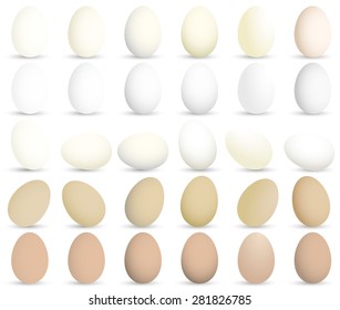 Set of different isolated vector eggs.