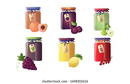 Conjunto de diferentes mermeladas en tarros con melocotón, ciruela, pera, limón, currant, uva. Ilustración vectorial al estilo de las caricaturas planas.