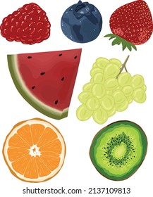 Set of different juicy fruits. Vector art.