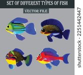 Set of different kind of fishes vector file