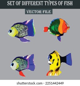 Set of different kind of fishes vector file