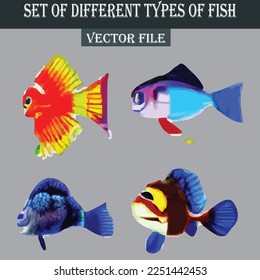 Set of different kind of fishes vector file