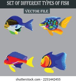 Set of different kind of fishes vector file
