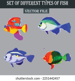 Set of different kind of fishes vector file