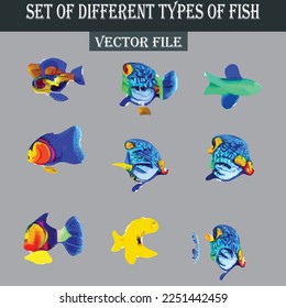 Set of different kind of fishes vector file