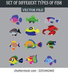 Conjunto de diferentes tipos de archivo vectorial de peces