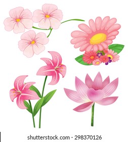 Set verschiedener Arten rosafarbener Blumen auf weißem Hintergrund