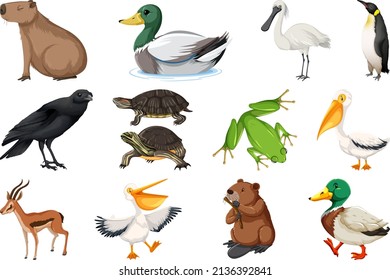 Set of different kinds of animals illustration