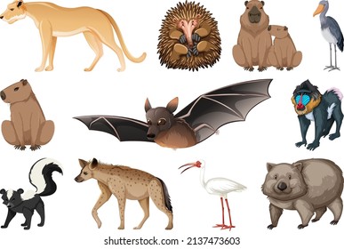 Reihe verschiedener Tierarten - Illustration