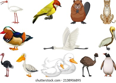 Set of different kinds of animals illustration