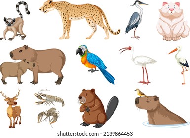 Set of different kinds of animals illustration