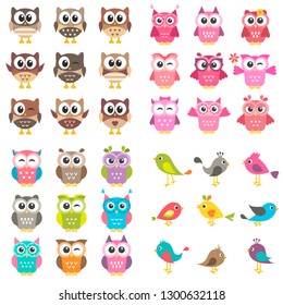 Set of different kinds of birds and owls