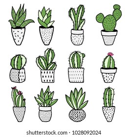 Set of different kinds of cactuses in flower pots. Sketchy vector pattern.