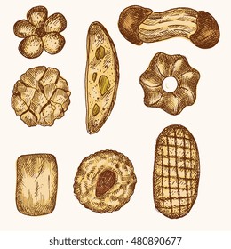 Set of different kinds of cookies and cakes, isolated. Hand drawn detailed illustration in vintage engraving style in color.  Italian sweets, biscotti, biscuit, bakery goods.