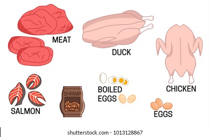 Set of different kinds of food vector colored illustration 