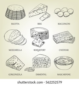 Set of different kinds of graphic cheese. Realistic vector sketch with dairy product. Curds collection used for logo design, recipe book, advertising cheese or restaurant menu