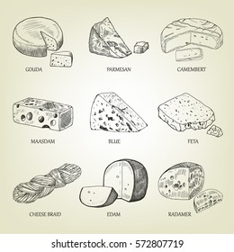 Set of different kinds of graphic cheese. Realistic vector sketch with dairy products. Curds collection used for logo design, recipe book, advertising cheese or restaurant menu.