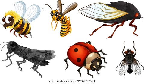 Set of different kinds of insects illustration