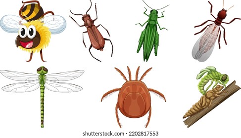 Ilustración de diferentes tipos de insectos