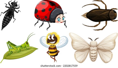 Set of different kinds of insects illustration