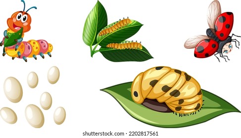 Set of different kinds of insects illustration