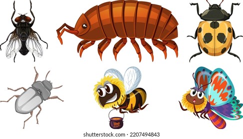 Set of different kinds of insects illustration