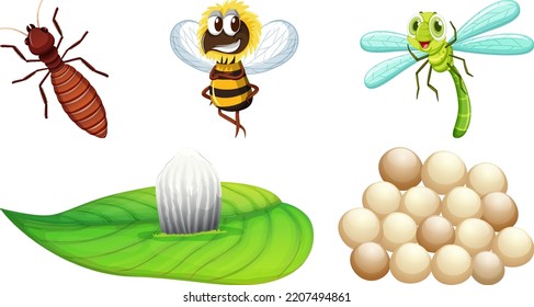 Set of different kinds of insects illustration